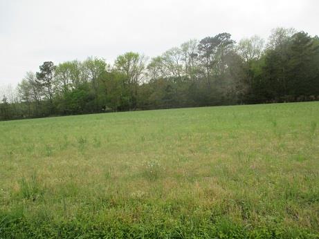 5205 Saltworks Road, Unit 1 2 Exmore, VA 23350 - Photo 1 of 6