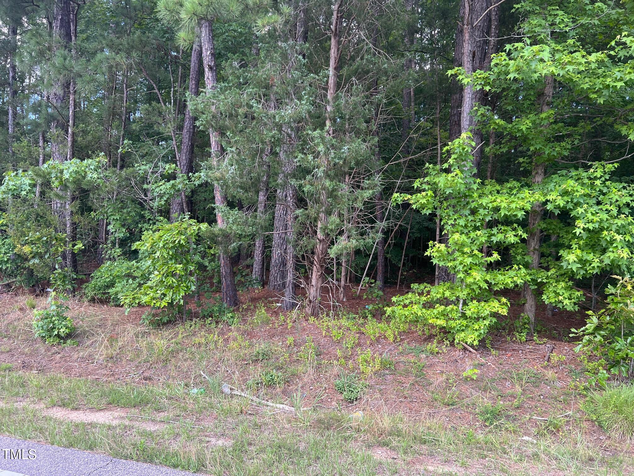 4 A Morgan Road Henderson, NC 27537 - Photo 2 of 7 IMG_7875