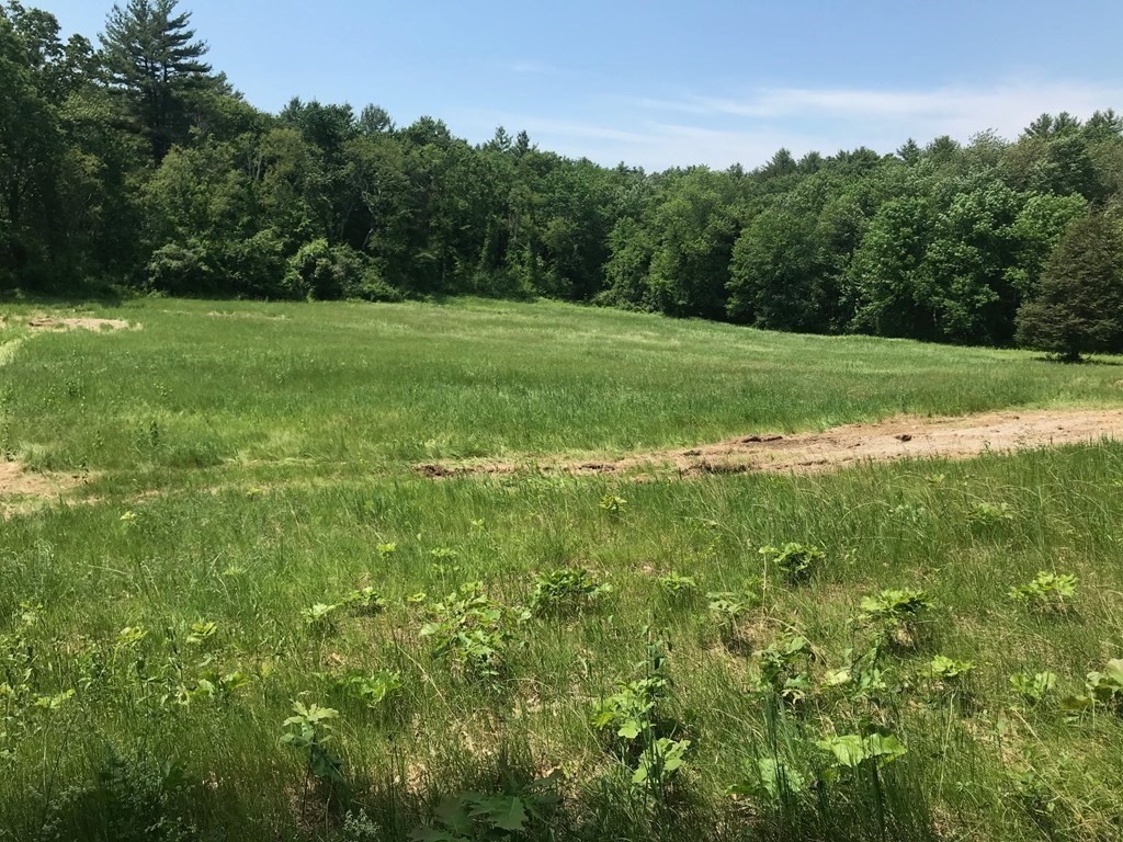 457-495 Lincoln Road Walpole, MA 02081 - Photo 4 of 12 Gallery Image 4