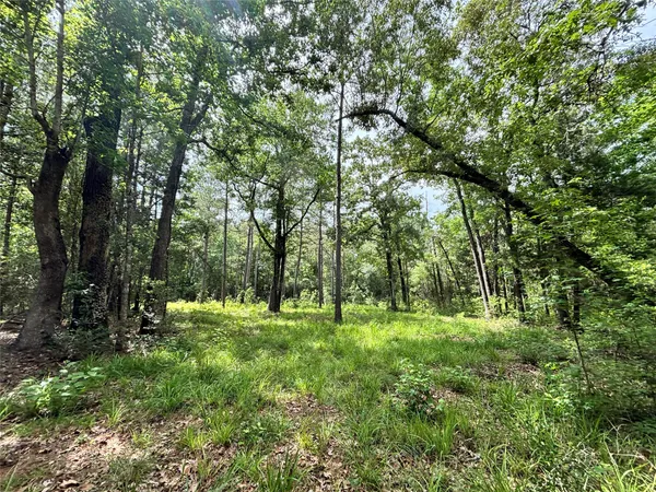 $75,755 | 0 Peyton Lane, Woodville, TX 75979
