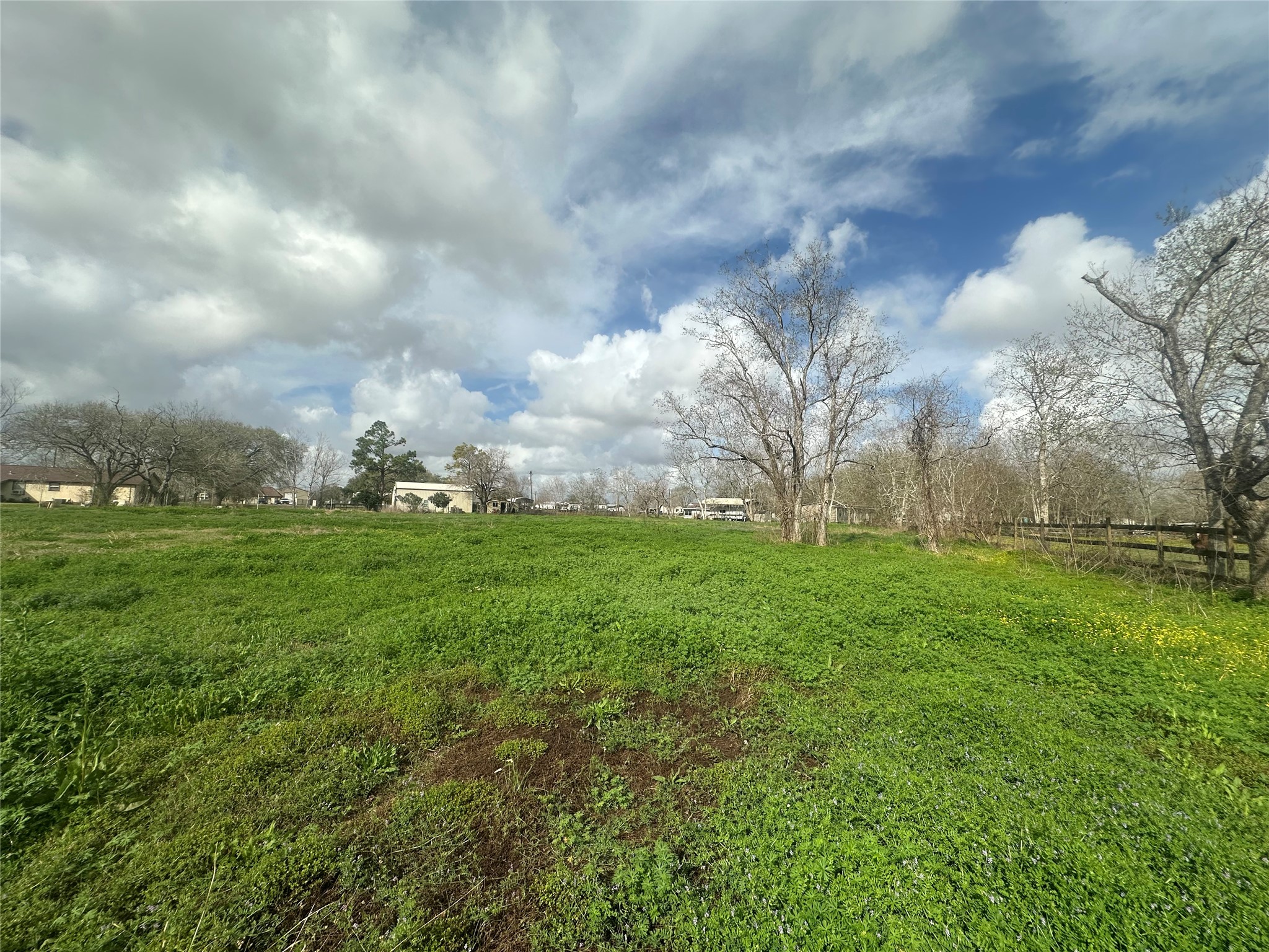 1925 County Road 543 Angleton, TX 77515 - Photo 6 of 9