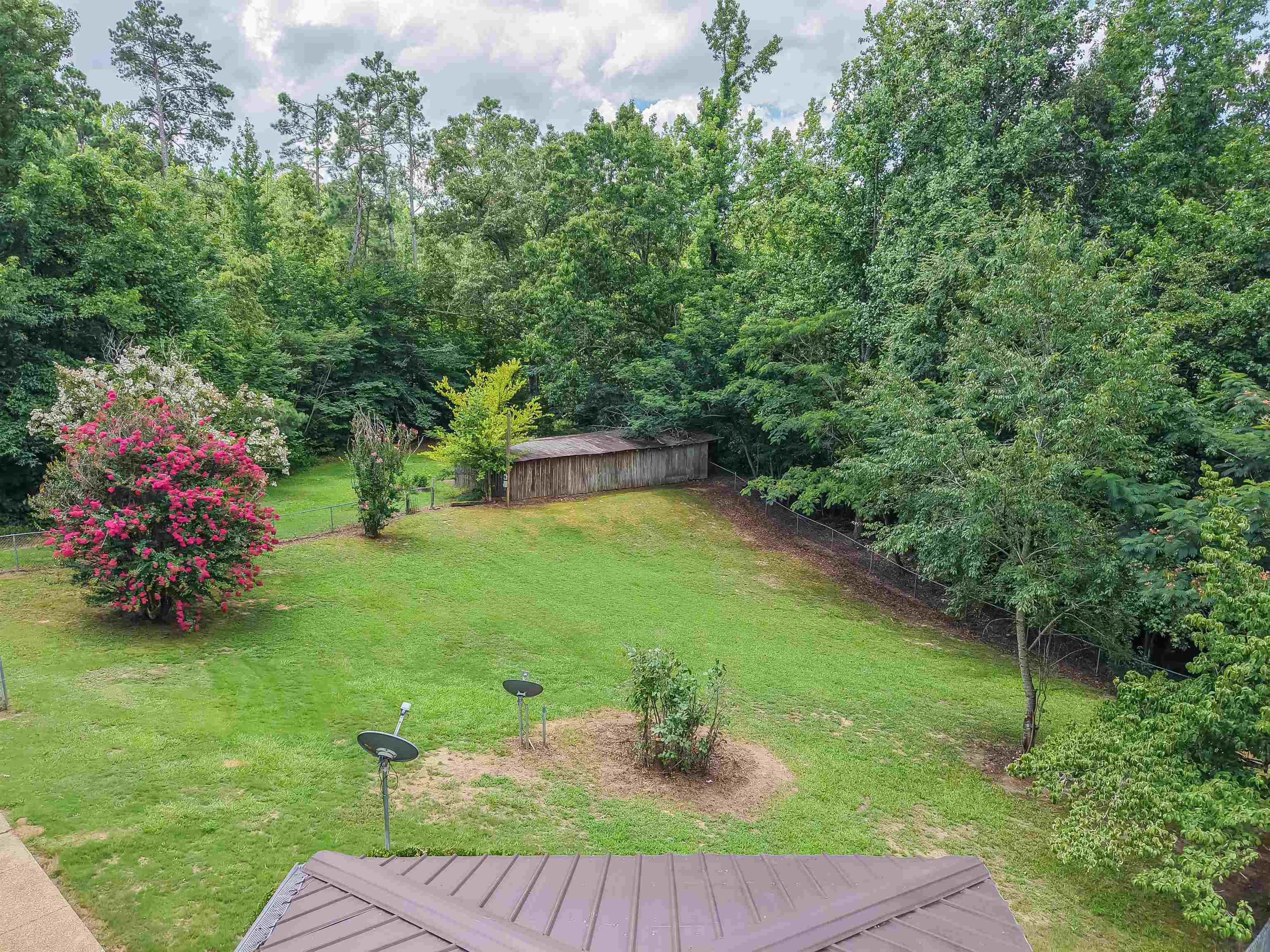 2380 Dunaway Road Selmer, TN 38375 - Photo 34 of 39 Expansive backyard featuring a manicured lawn, mature trees, and a vibrant flowering bush