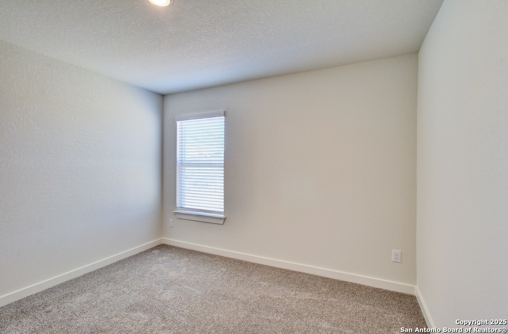 2703 Echinacea Path Converse, TX 78109 - Photo 12 of 23