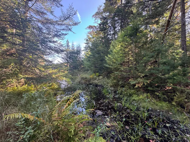 $79,900 | 0 Main Road, Phippsburg, ME 04562