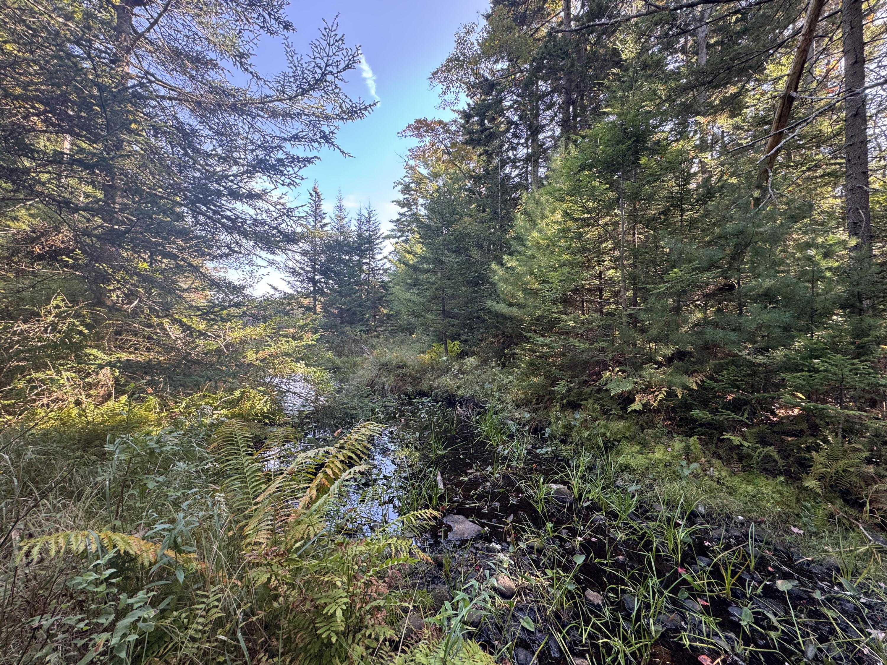 0 Main Road Phippsburg, ME 04562 - Photo 22 of 27 0 Main Road/North Creek