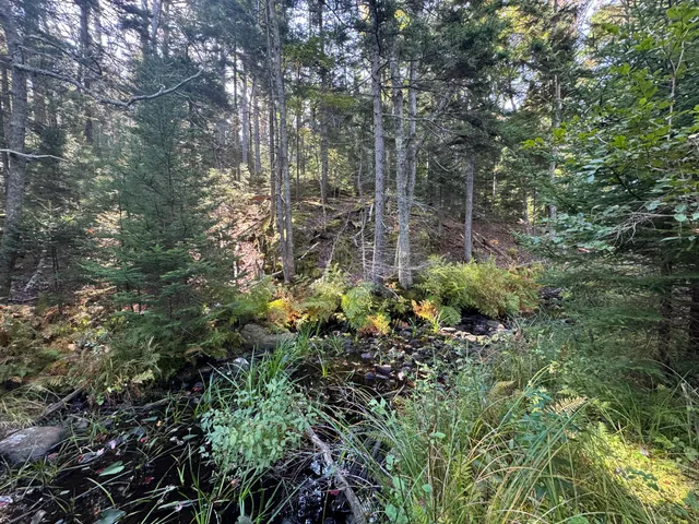 $79,900 | 0 Main Road, Phippsburg, ME 04562