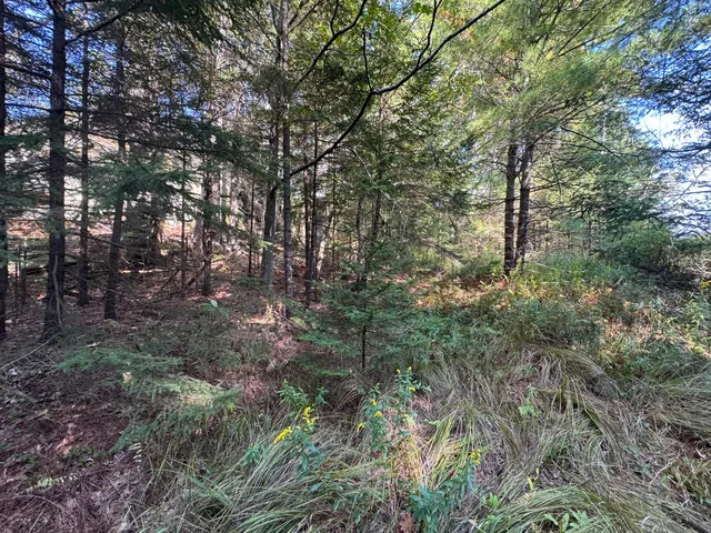 $79,900 | 0 Main Road, Phippsburg, ME 04562