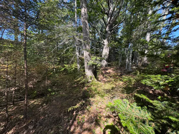 $69,500 | 0 Main Road, Phippsburg, ME 04562