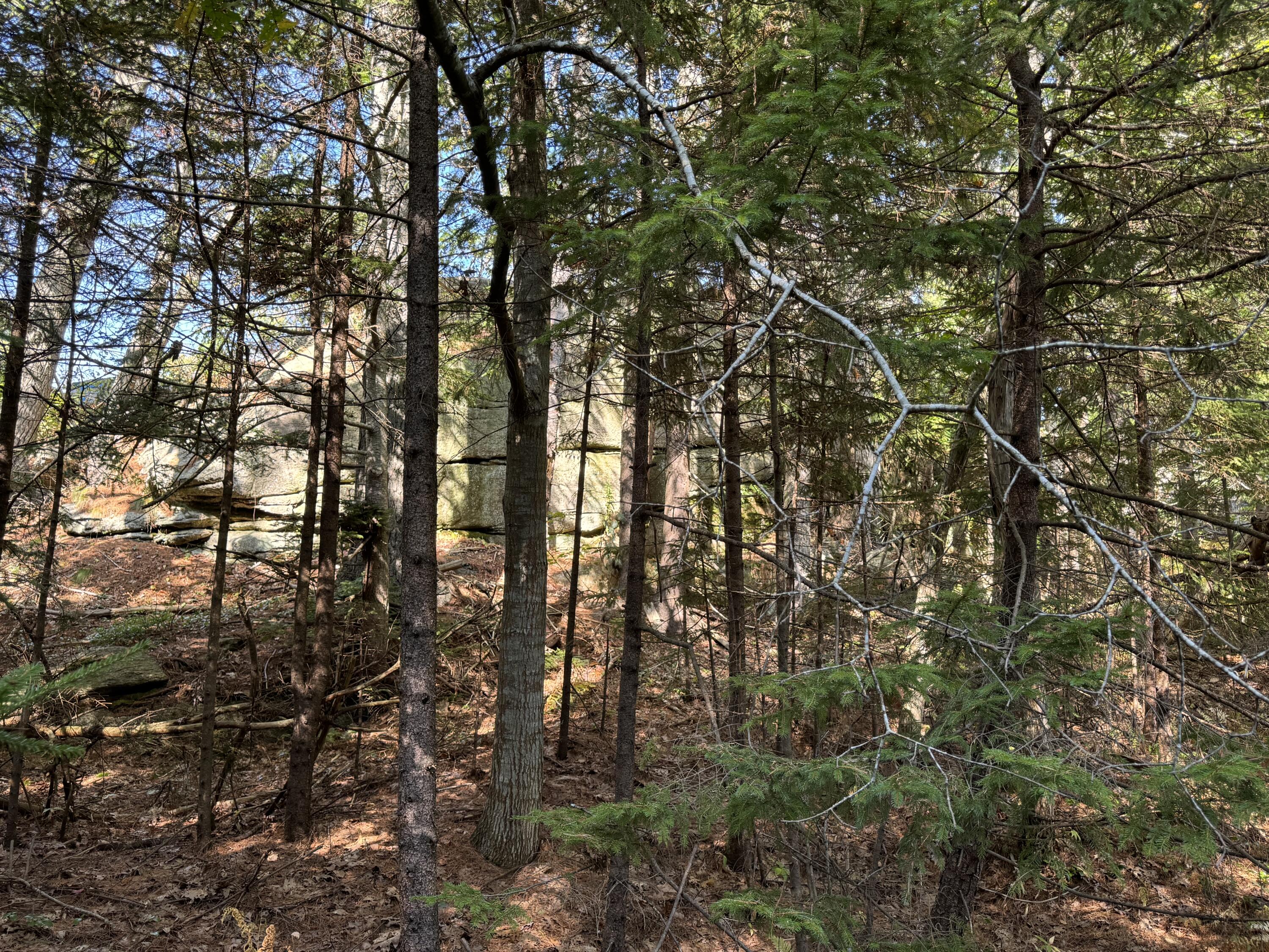 0 Main Road Phippsburg, ME 04562 - Photo 5 of 27 0 Main Road, Phippsburg