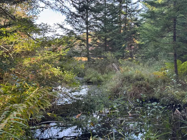 $79,900 | 0 Main Road, Phippsburg, ME 04562