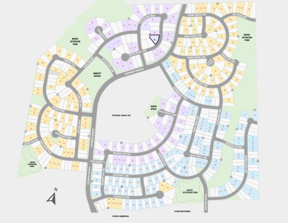 1509 Caylea Blf Lane Georgetown, TX 78628 - Photo 20 of 30