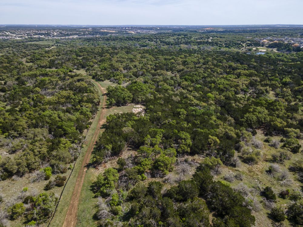 1509 Caylea Blf Lane Georgetown, TX 78628 - Photo 29 of 30 a view of a lush green forest with trees and some houses