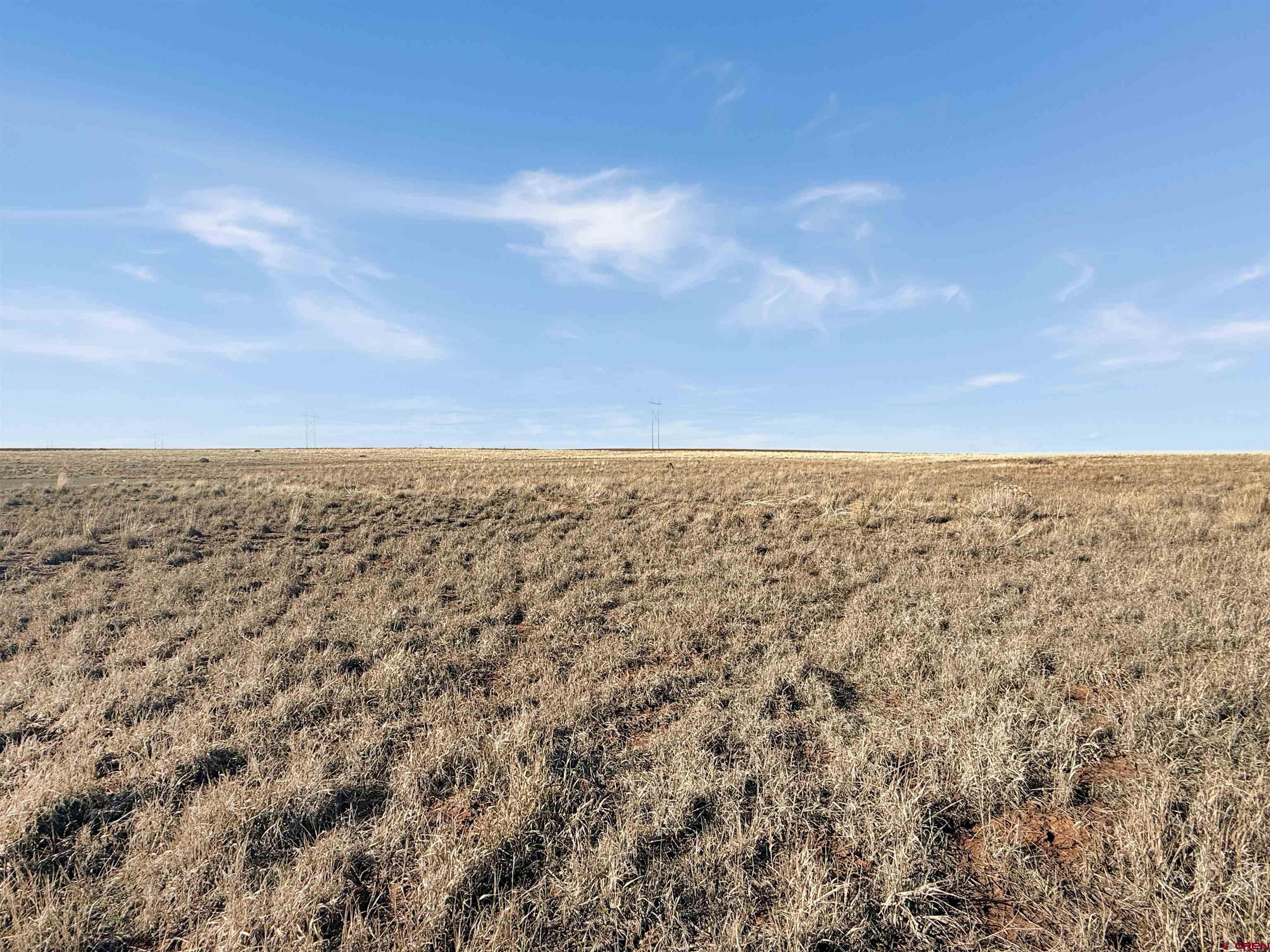 17 Road 17 Cortez, CO 81321 - Photo 17 of 22