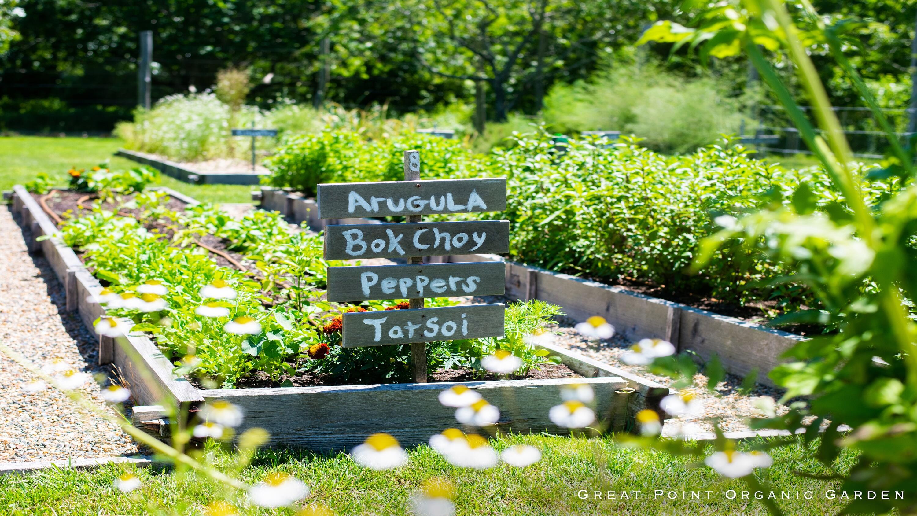 15 Forever Wild Way Edgartown, MA 02539 - Photo 18 of 29 18 GREAT POINT