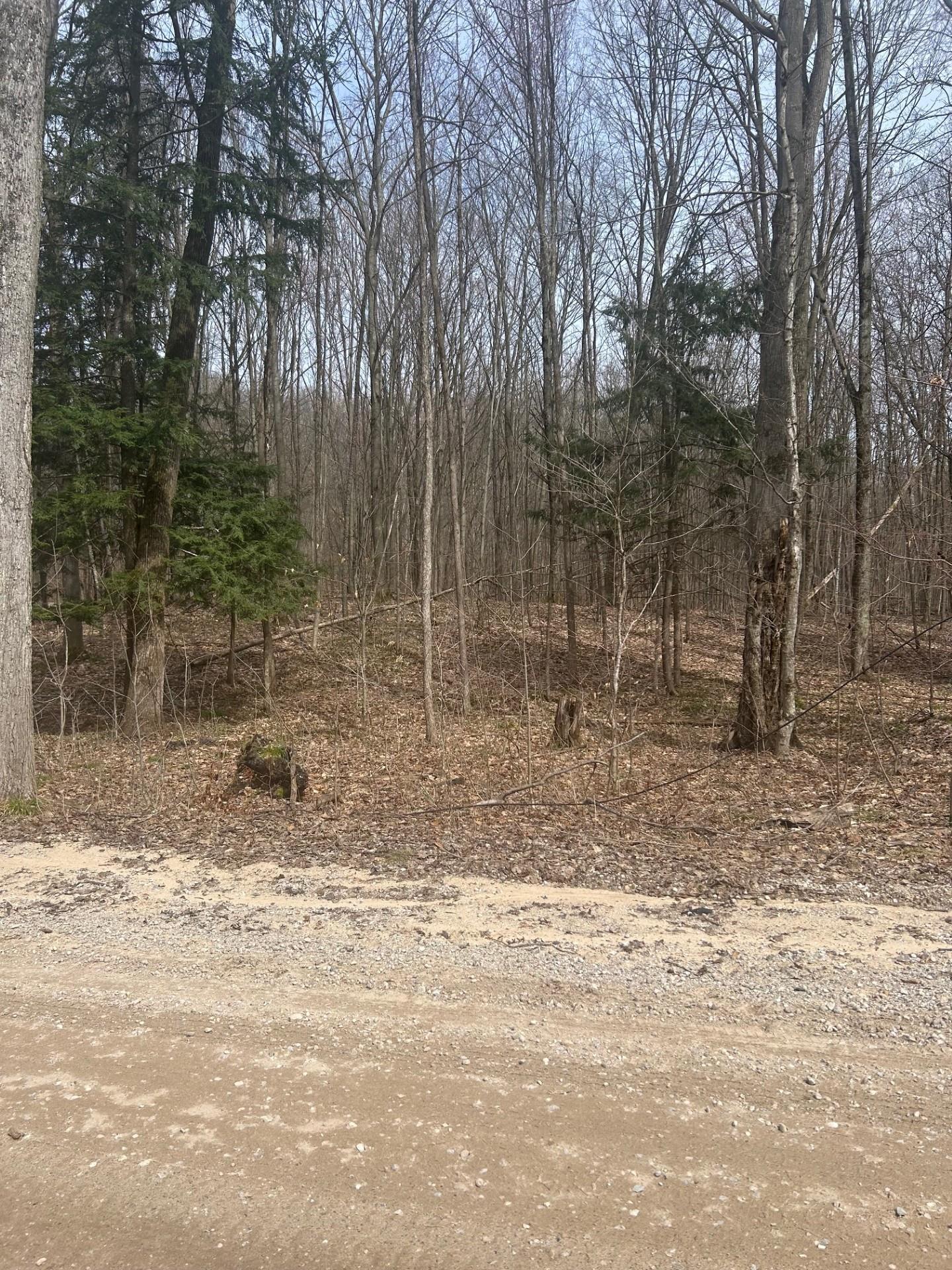Lake Street Beulah, MI 49617 - Photo 11 of 14