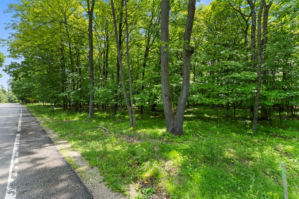 Lot #1 Horseshoe Bay Road Egg Harbor, WI 54209 - Photo 5 of 24