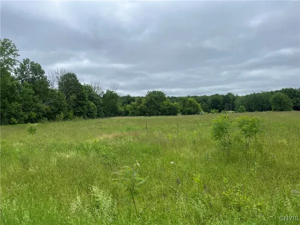 $209,000 | L1 County Route 7, Hannibal, NY 13074