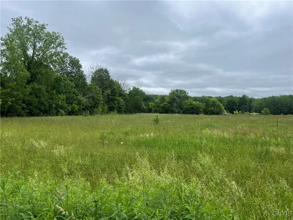 $209,000 | L1 County Route 7, Hannibal, NY 13074