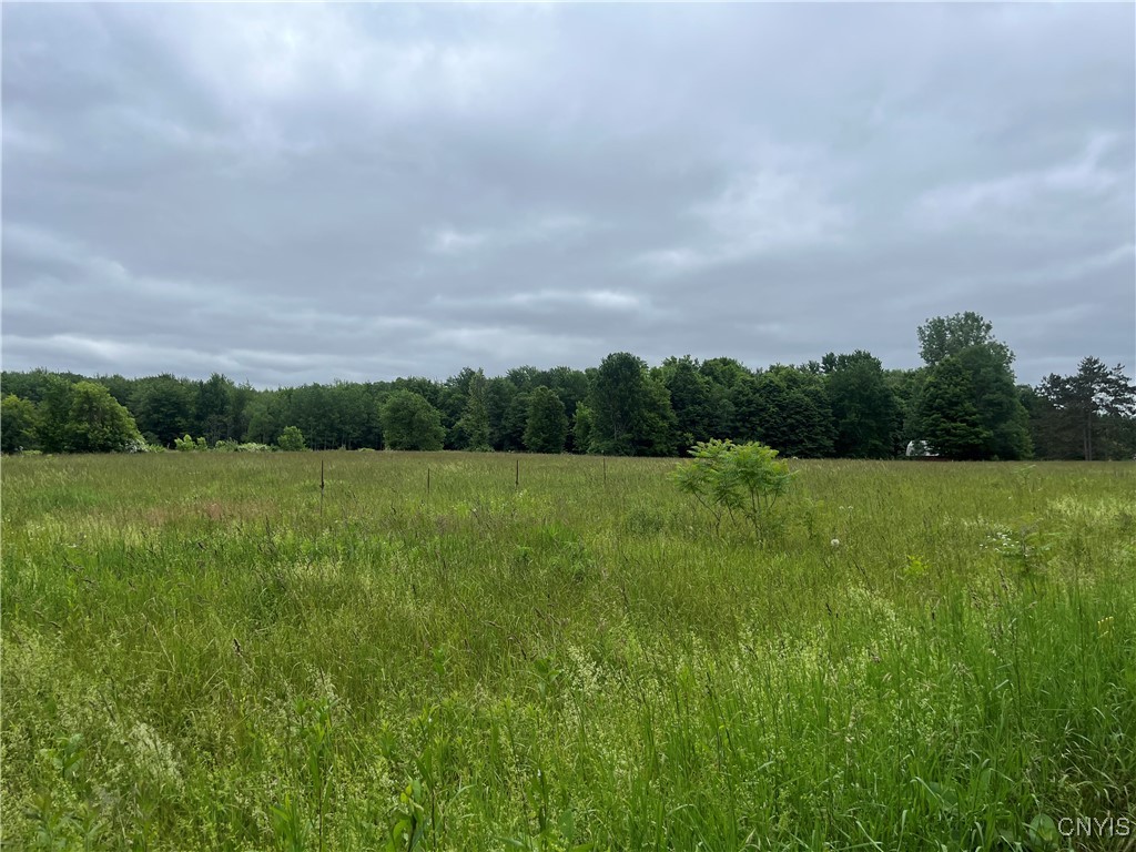 L1 County Route 7 Hannibal, NY 13074 - Photo 13 of 14