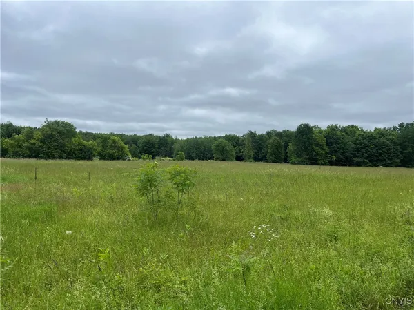 $209,000 | L1 County Route 7, Hannibal, NY 13074