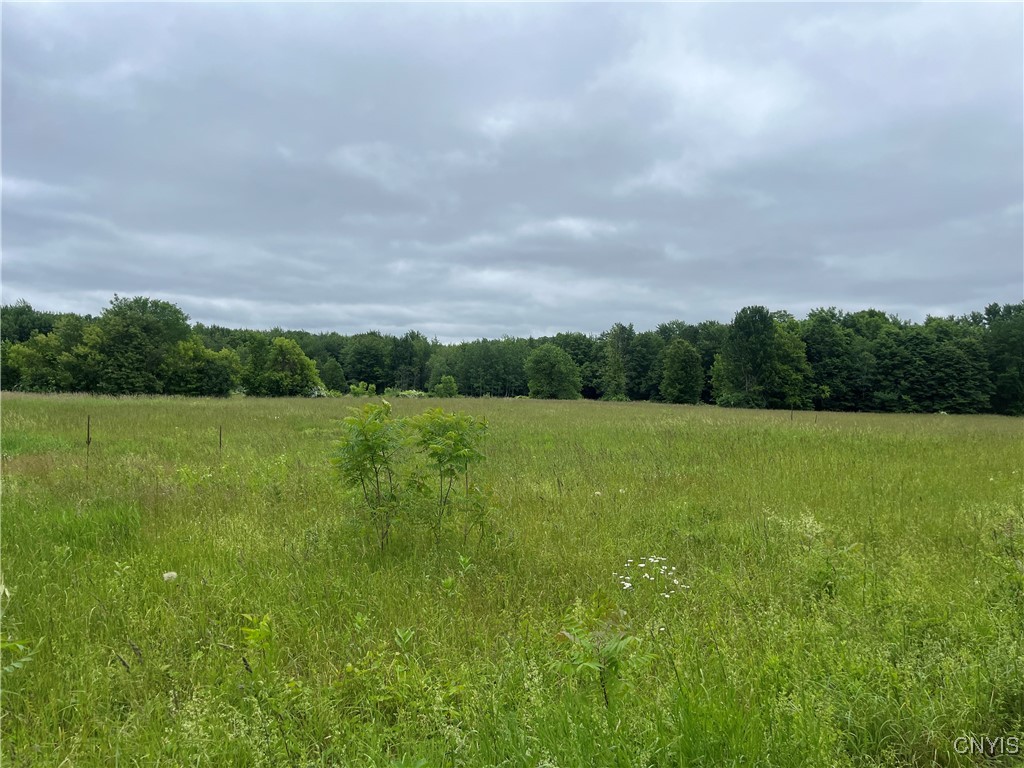 L1 County Route 7 Hannibal, NY 13074 - Photo 10 of 14