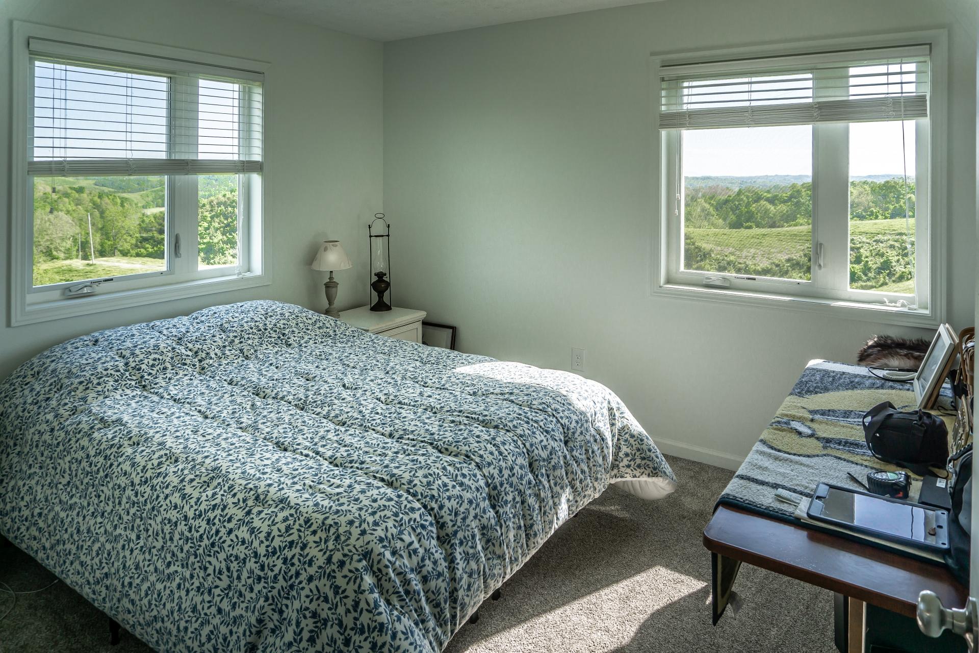 70 Collins Road Greeneville, TN 37745 - Photo 20 of 93 Guest bedroom
