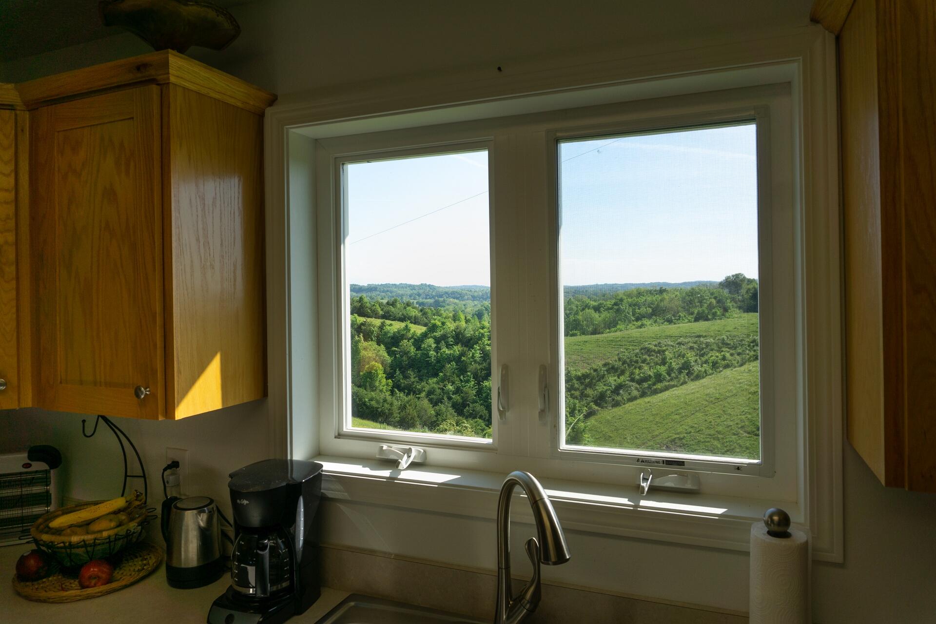 70 Collins Road Greeneville, TN 37745 - Photo 21 of 93 Kitchen window view
