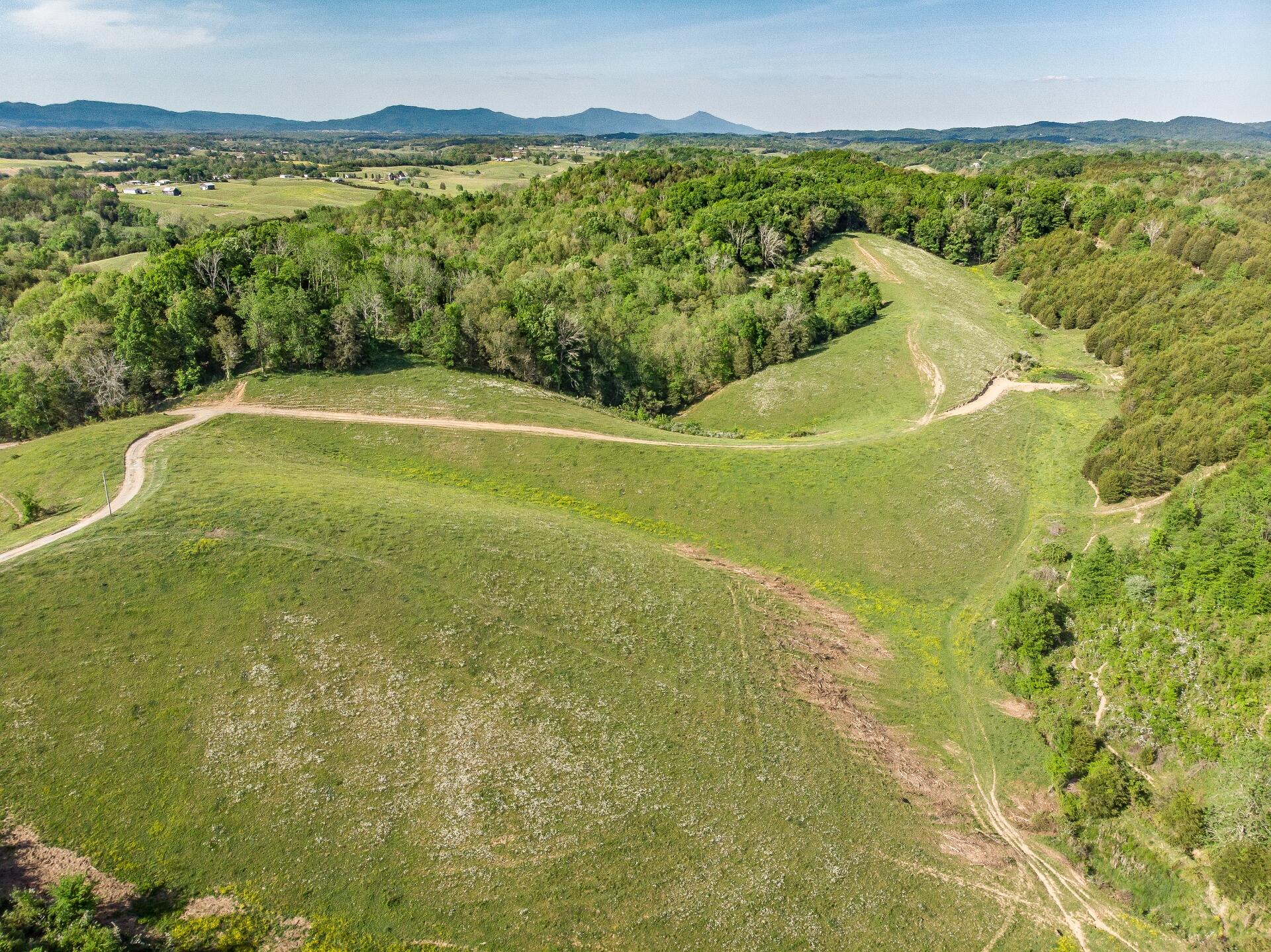 70 Collins Road Greeneville, TN 37745 - Photo 30 of 93 70collinsG_004