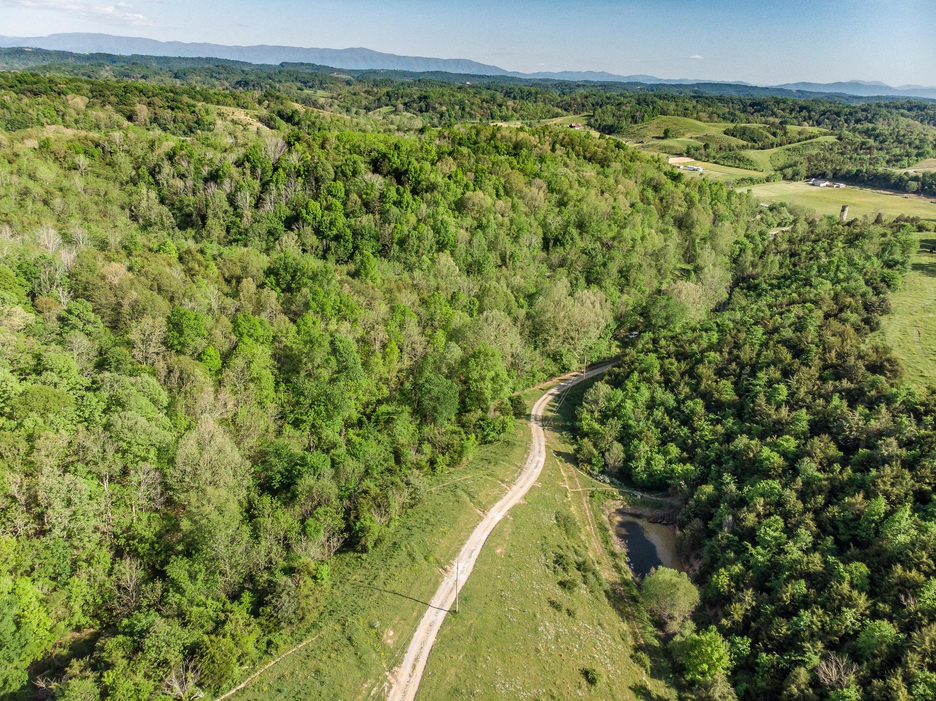 70 Collins Road Greeneville, TN 37745 - Photo 39 of 93 70collinsG_017