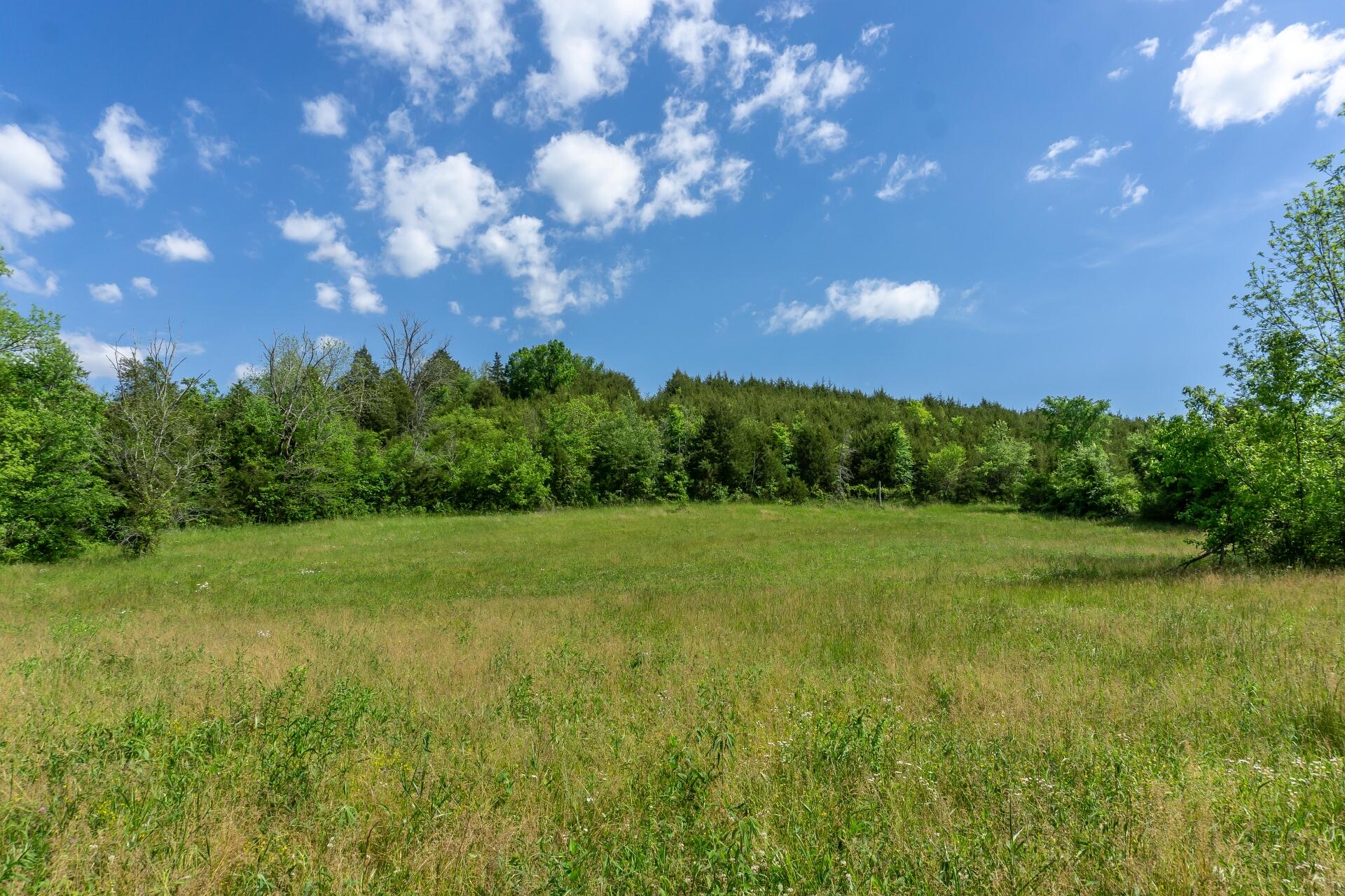 70 Collins Road Greeneville, TN 37745 - Photo 5 of 93 70collinsG_070
