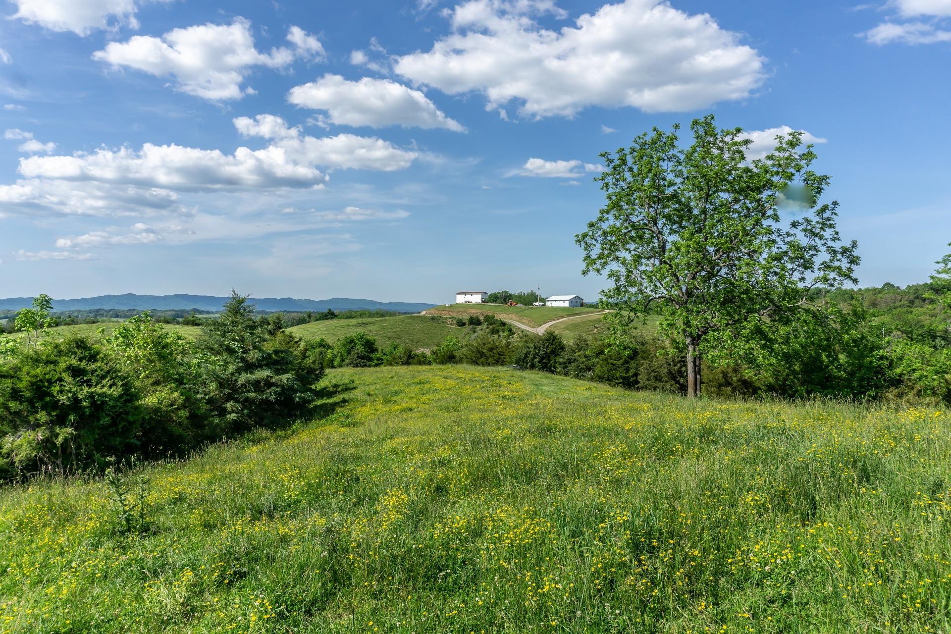 70 Collins Road Greeneville, TN 37745 - Photo 42 of 93 70collinsG_164