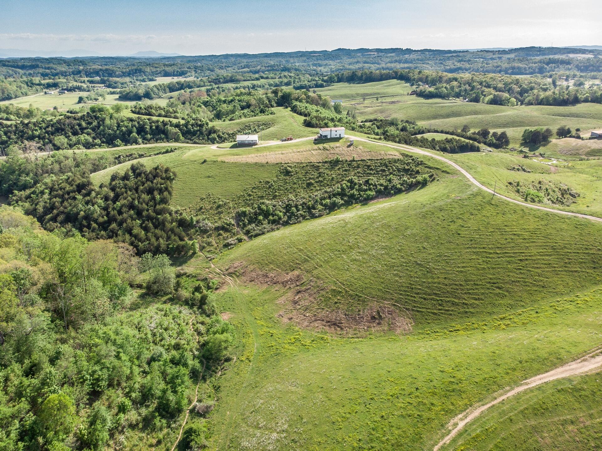 70 Collins Road Greeneville, TN 37745 - Photo 45 of 93 70collinsG_027