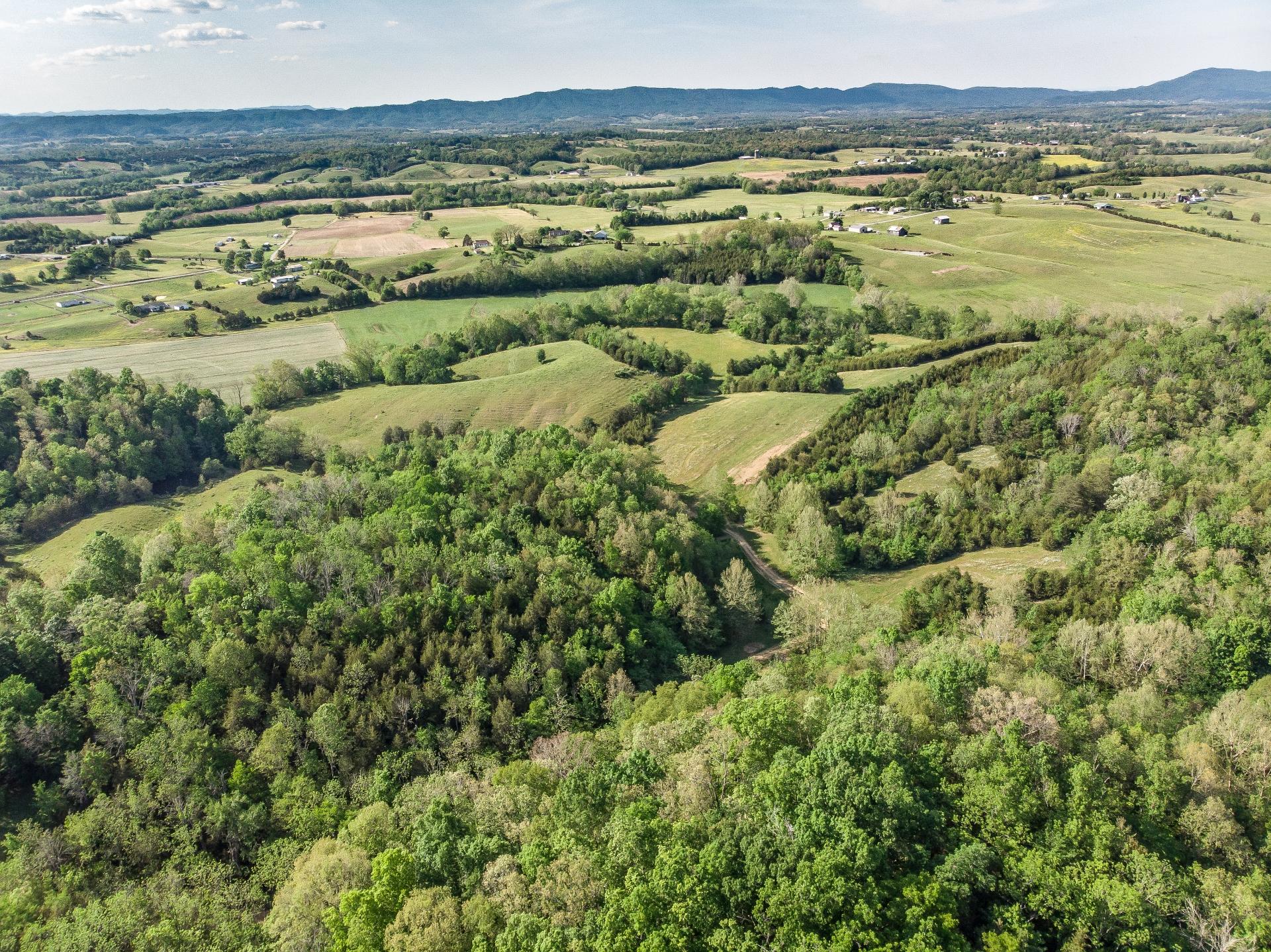 70 Collins Road Greeneville, TN 37745 - Photo 47 of 93 70collinsG_035