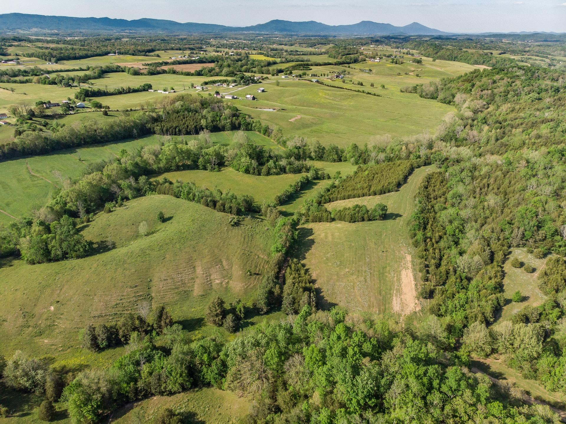 70 Collins Road Greeneville, TN 37745 - Photo 49 of 93 70collinsG_040