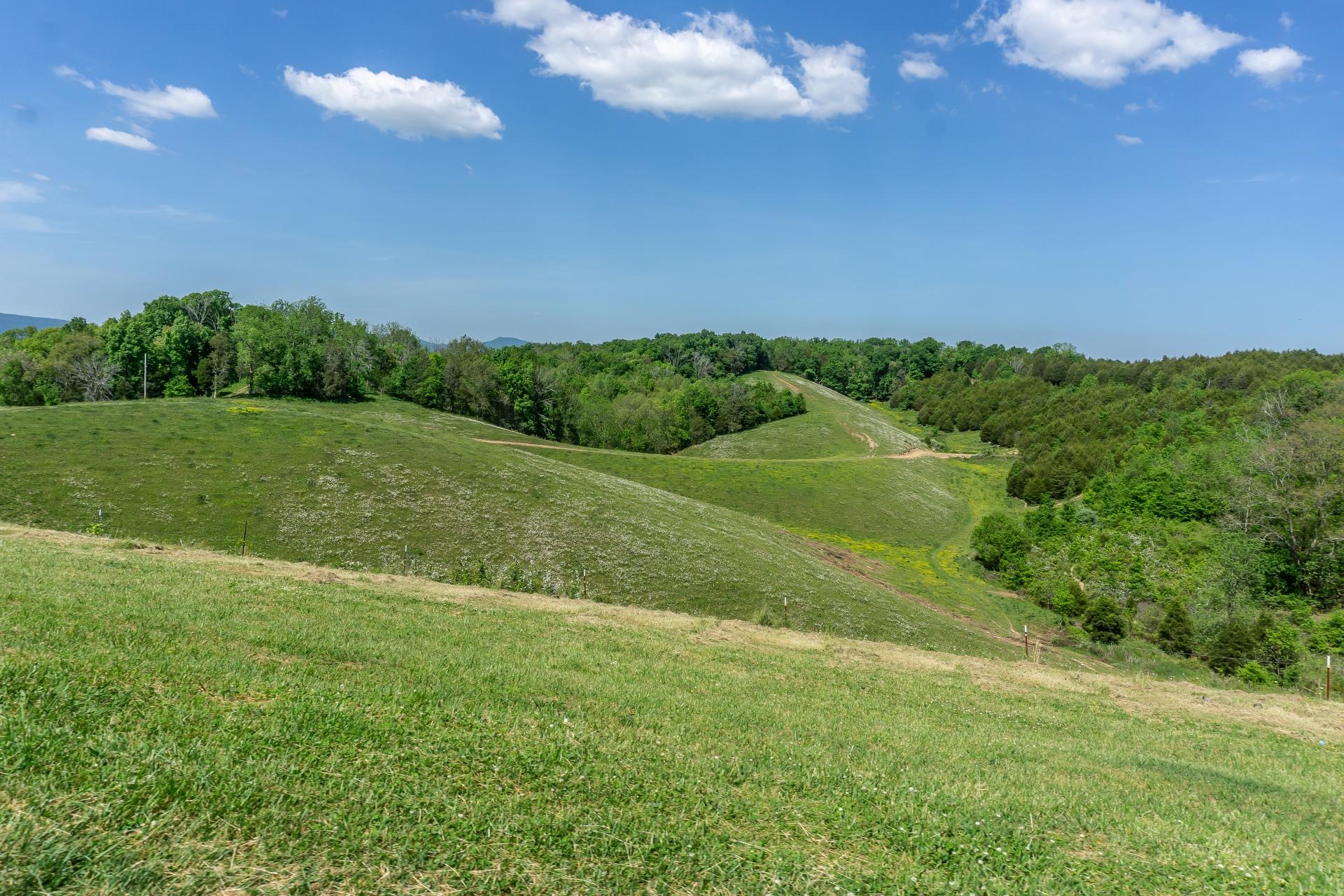 70 Collins Road Greeneville, TN 37745 - Photo 55 of 93 70collinsG_048
