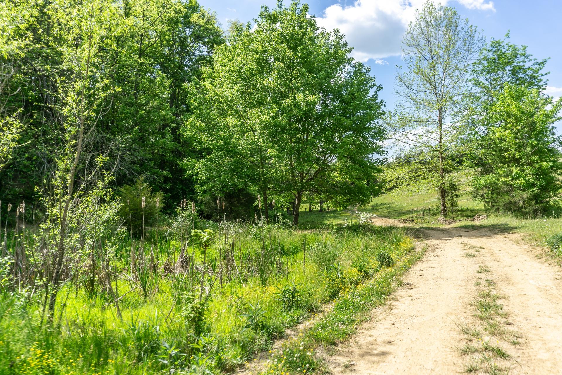 70 Collins Road Greeneville, TN 37745 - Photo 58 of 93 70collinsG_055