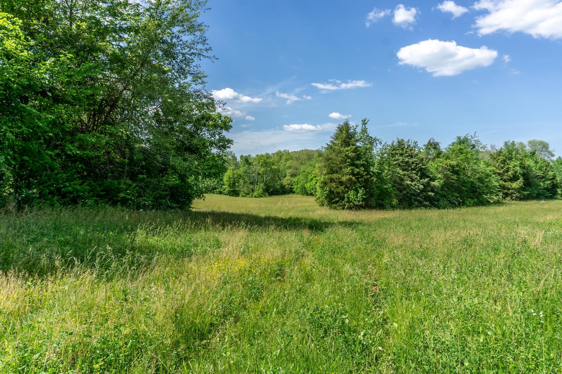 70 Collins Road Greeneville, TN 37745 - Photo 60 of 93 70collinsG_059