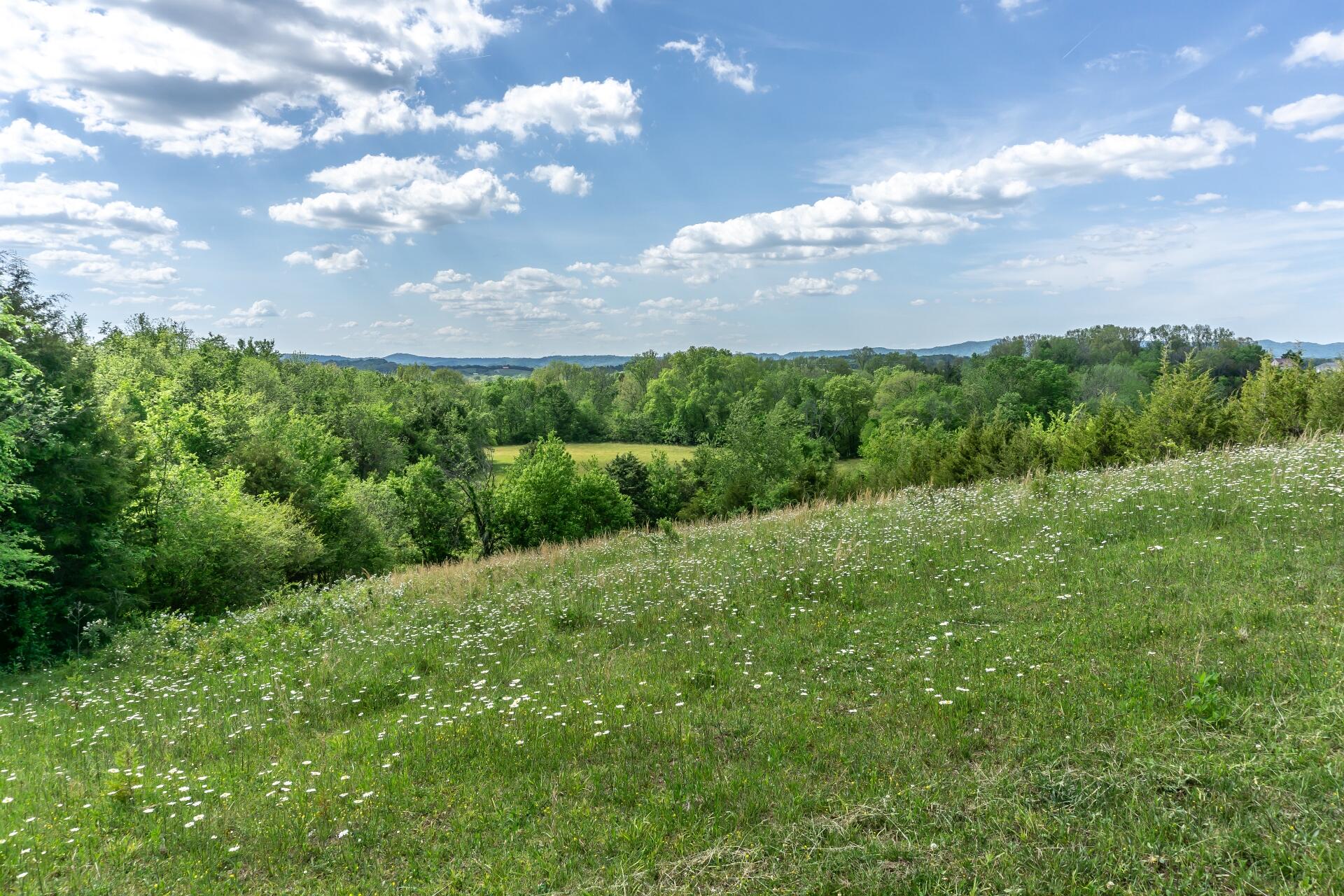 70 Collins Road Greeneville, TN 37745 - Photo 7 of 93 70collinsG_079