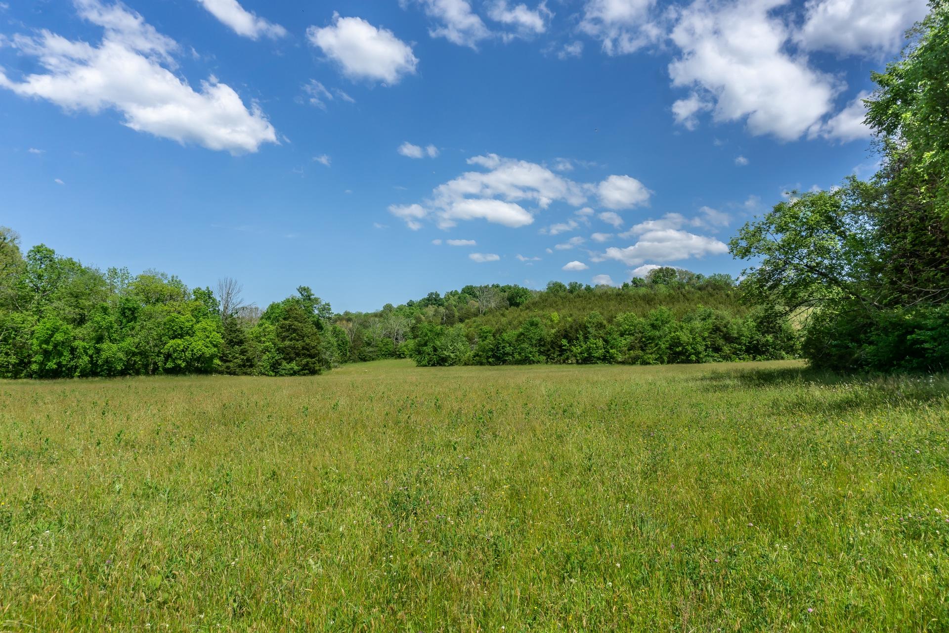 70 Collins Road Greeneville, TN 37745 - Photo 61 of 93 70collinsG_060