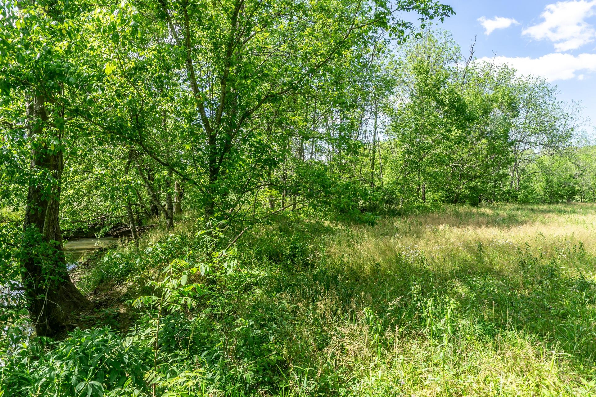 70 Collins Road Greeneville, TN 37745 - Photo 63 of 93 70collinsG_063