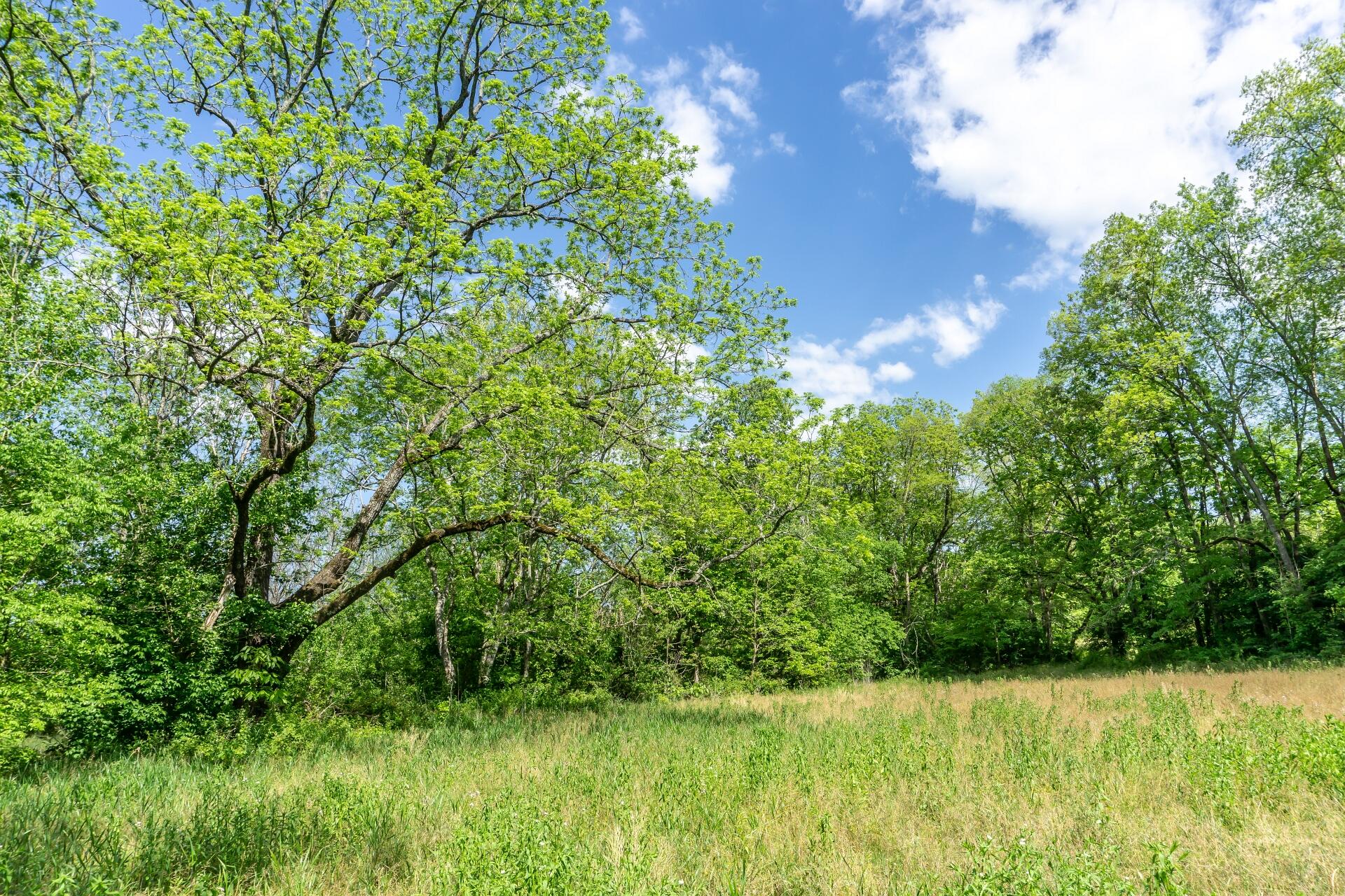 70 Collins Road Greeneville, TN 37745 - Photo 64 of 93 70collinsG_065