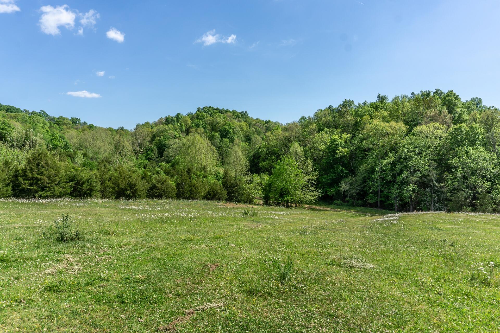 70 Collins Road Greeneville, TN 37745 - Photo 68 of 93 70collinsG_078