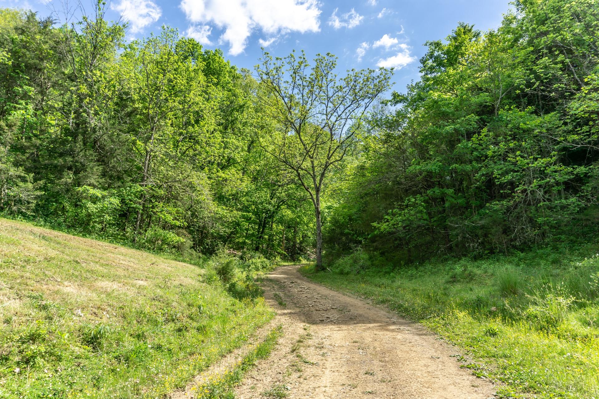 70 Collins Road Greeneville, TN 37745 - Photo 70 of 93 70collinsG_087