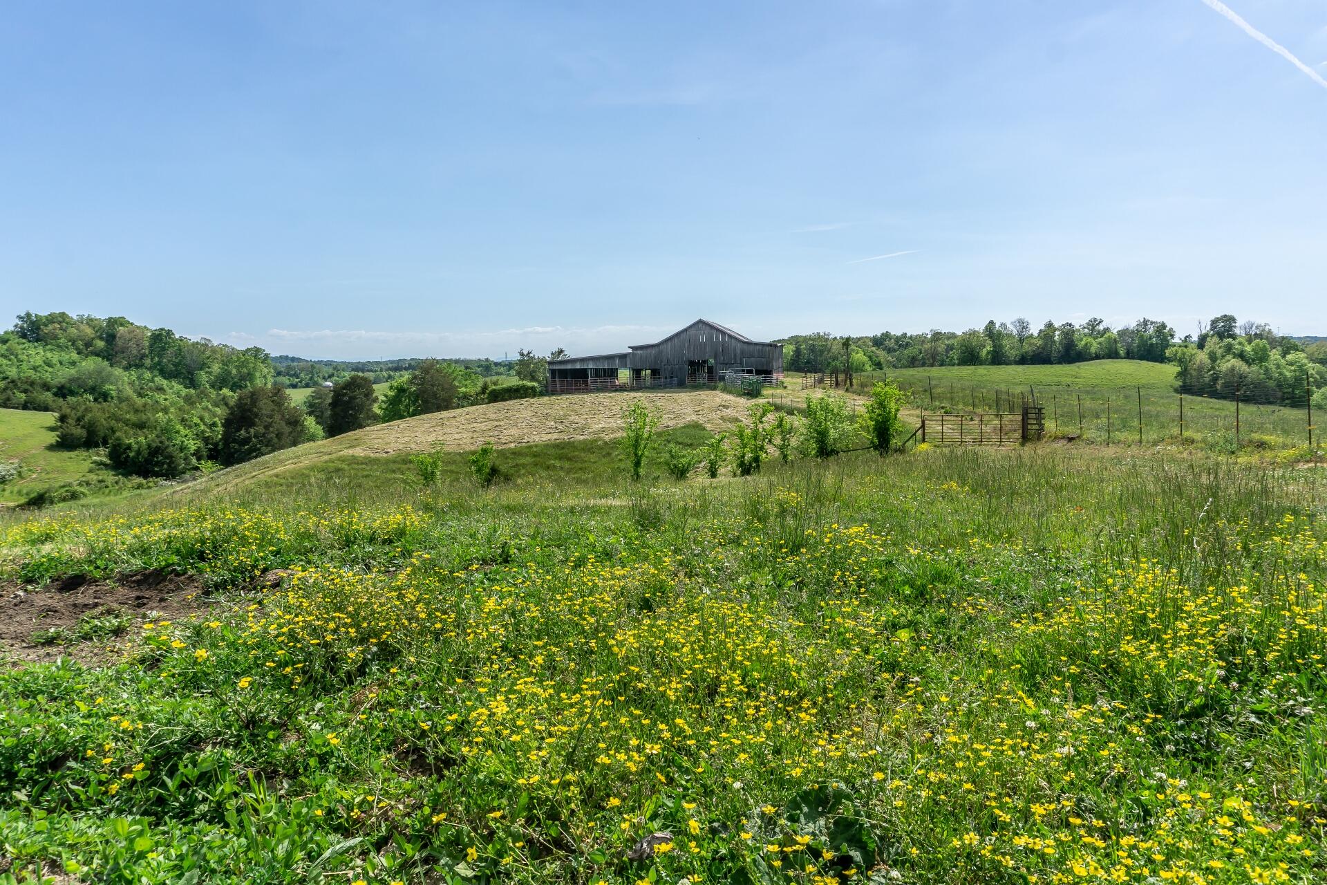70 Collins Road Greeneville, TN 37745 - Photo 8 of 93 70collinsG_091