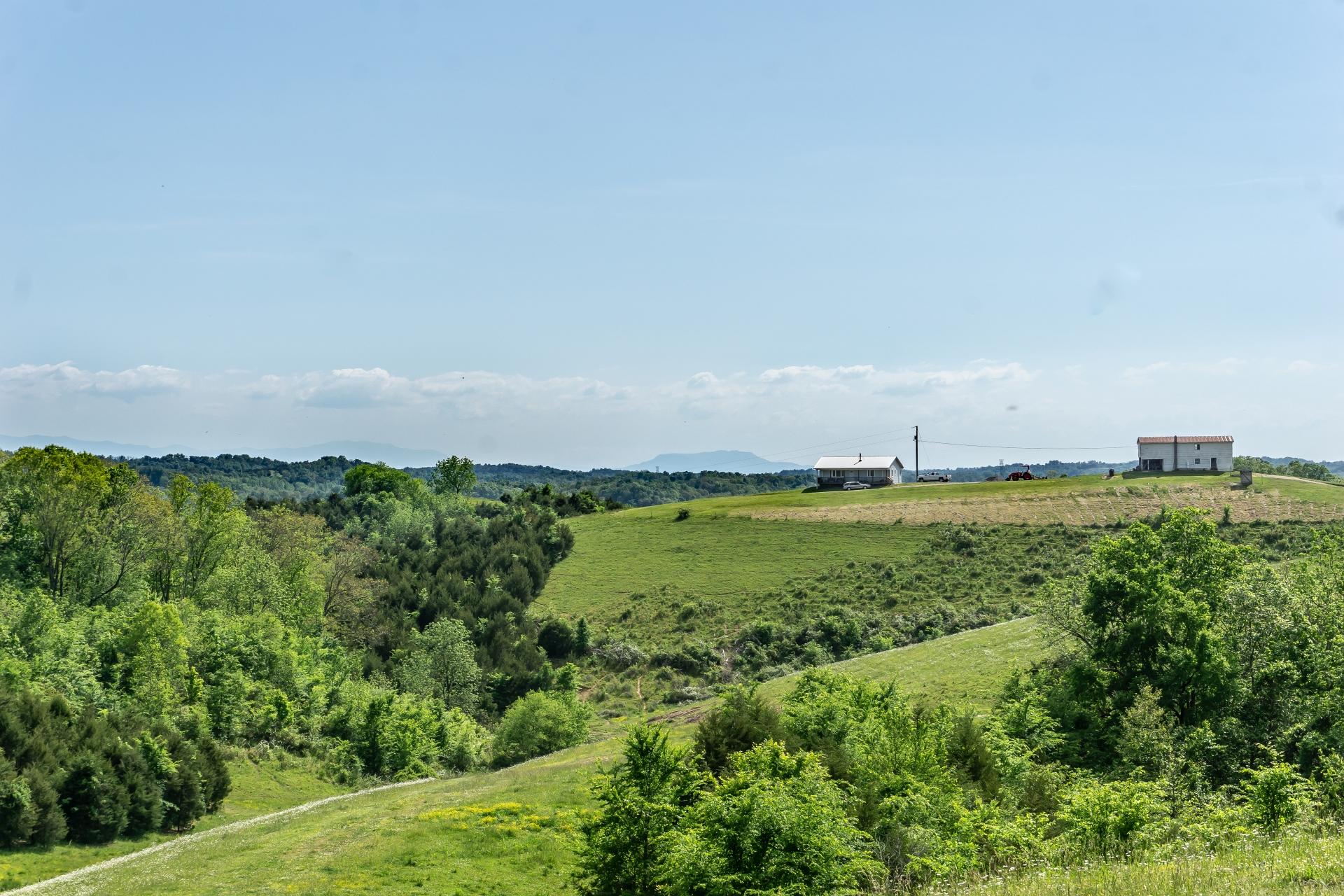 70 Collins Road Greeneville, TN 37745 - Photo 74 of 93 70collinsG_109