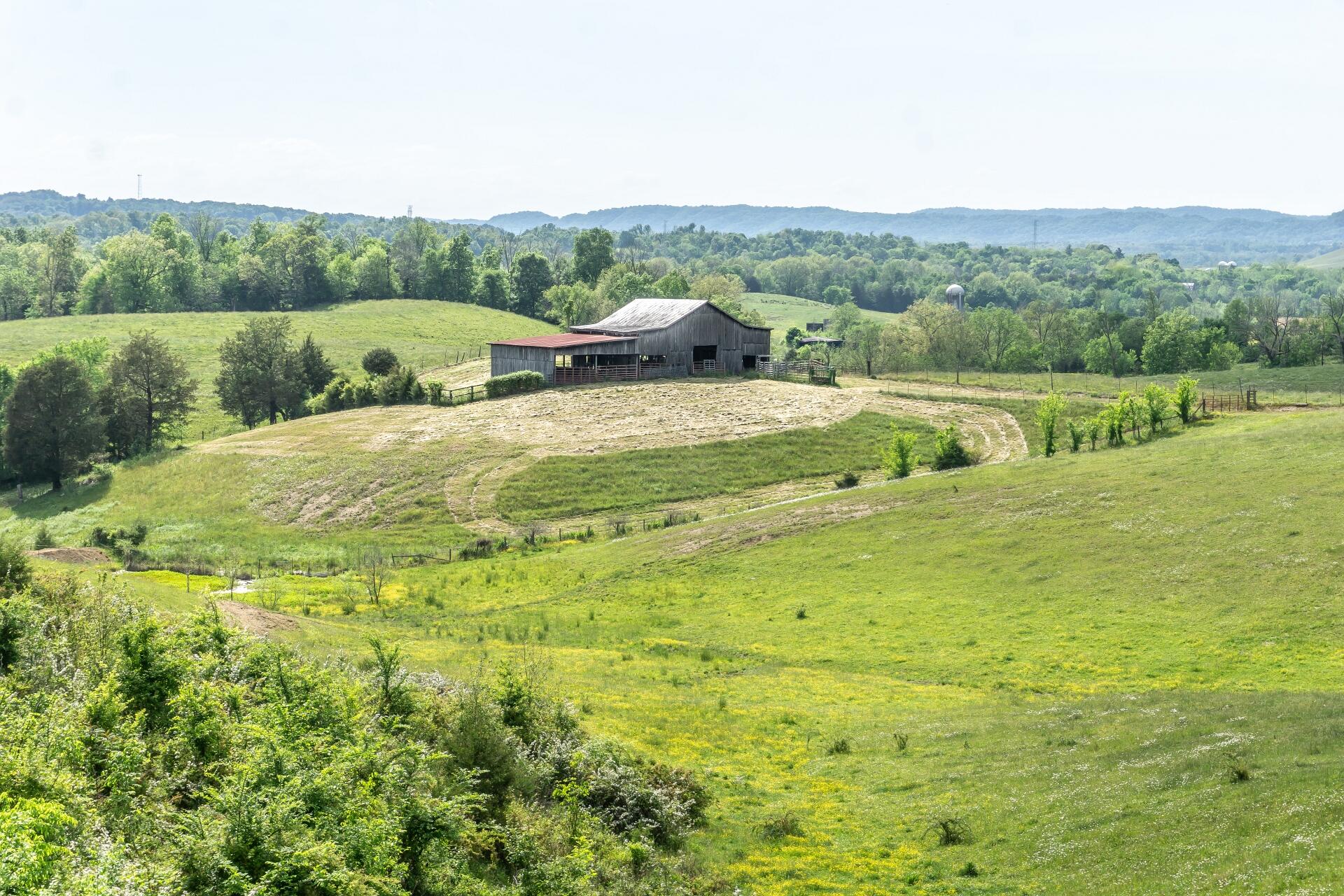 70 Collins Road Greeneville, TN 37745 - Photo 75 of 93 70collinsG_114