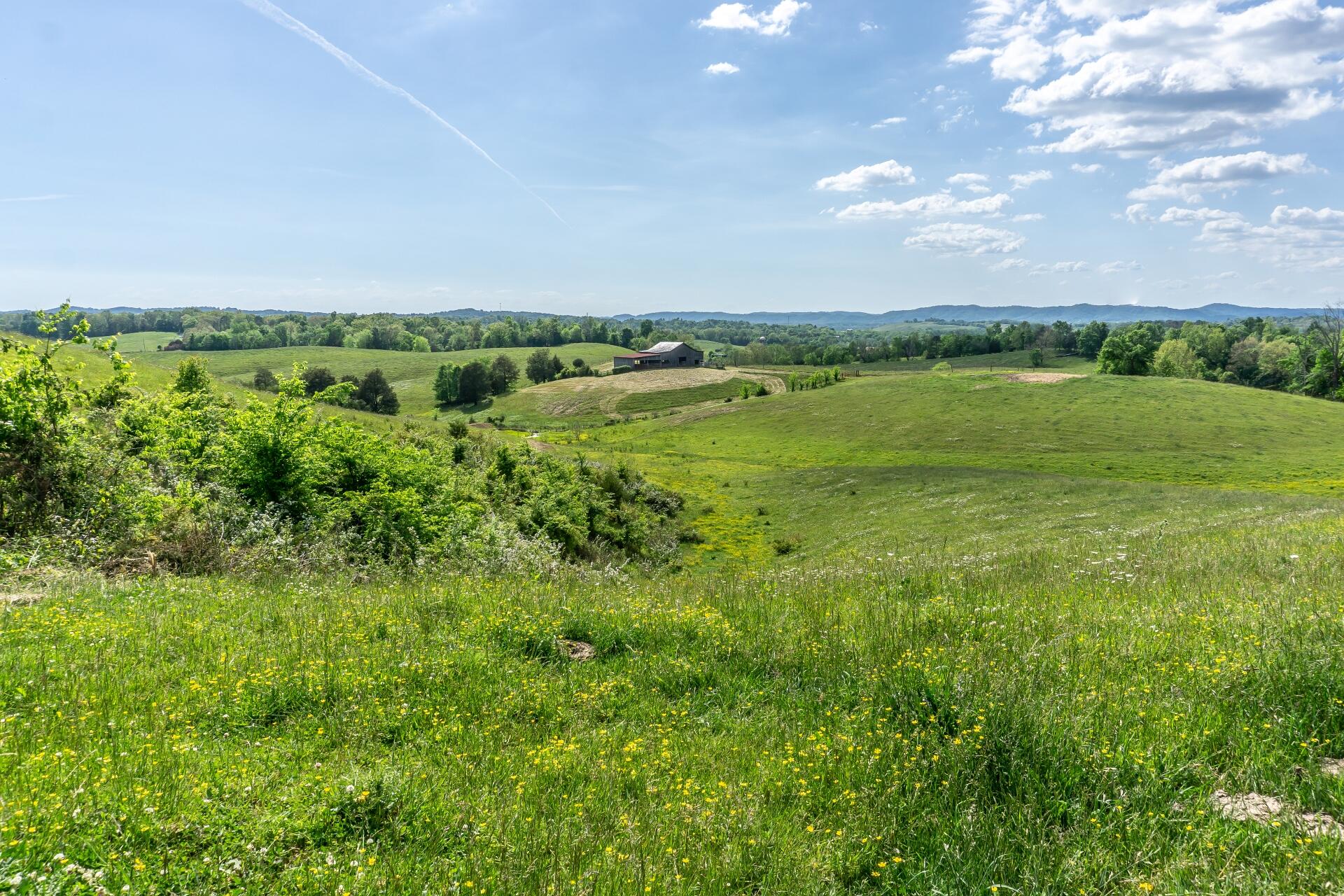 70 Collins Road Greeneville, TN 37745 - Photo 76 of 93 70collinsG_115