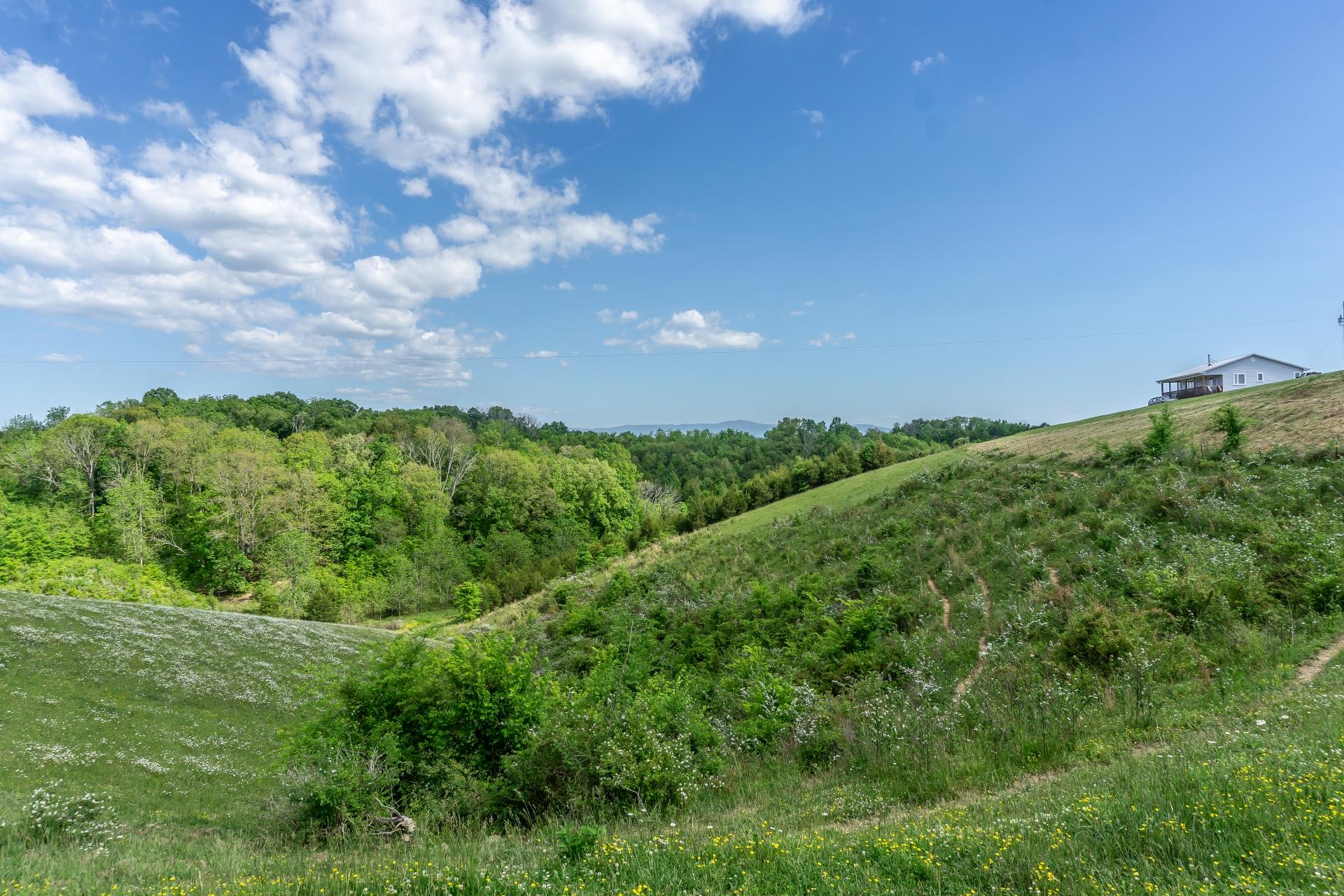 70 Collins Road Greeneville, TN 37745 - Photo 77 of 93 70collinsG_116
