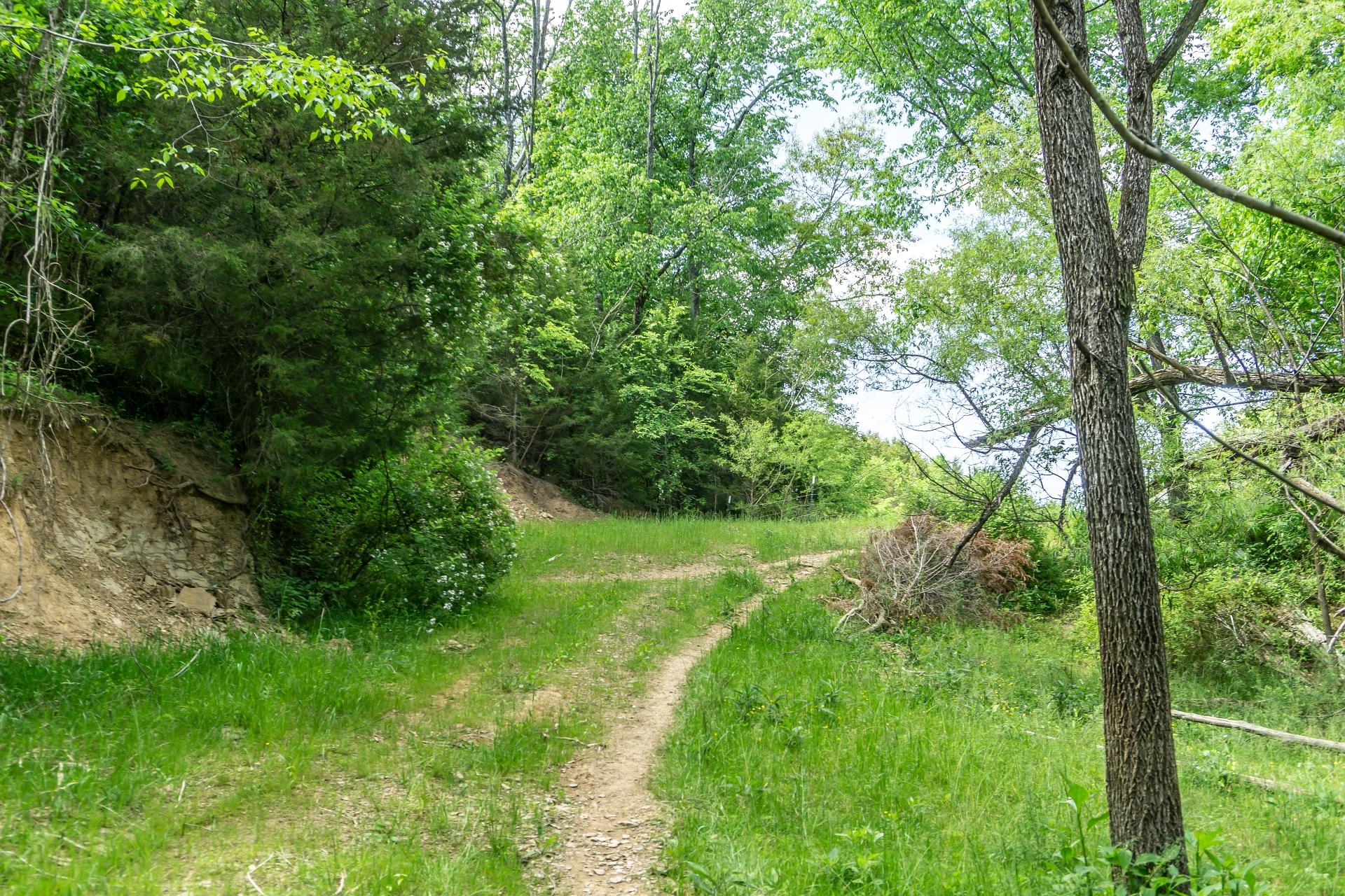 70 Collins Road Greeneville, TN 37745 - Photo 80 of 93 70collinsG_121
