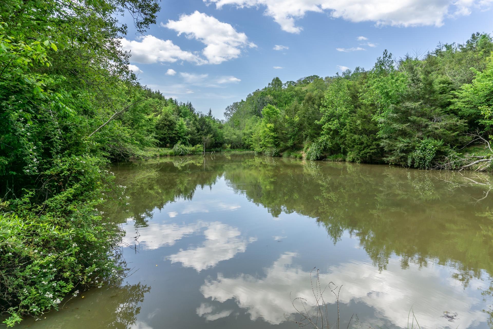 70 Collins Road Greeneville, TN 37745 - Photo 81 of 93 70collinsG_125